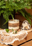 Book an appointment to shop in Beauty Scents Candle studio