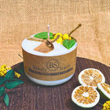Decorative candle with natural elements on a wooden surface, branded 'Beauty Scents'.