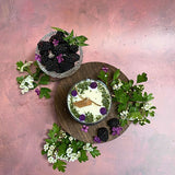 Large Candles with Blackberry in glass container