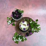 Medium Candle with Blackberry