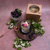 Small Candles with Blackberry in glass container