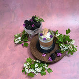 Small Candles with Blackberry in glass container