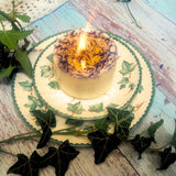 Small handmade wild flowers soy candle with dried blue cornflowers burning with bright flame on vintage botanical china surrounded by natural ivy